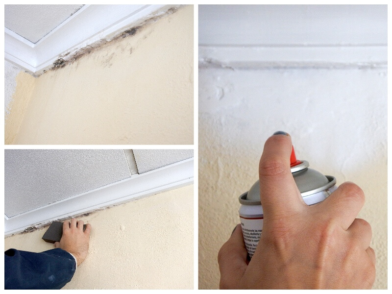 How to remove damp marks with antistains spray paint Pintyplus